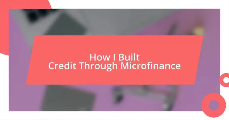 How I Built Credit Through Microfinance