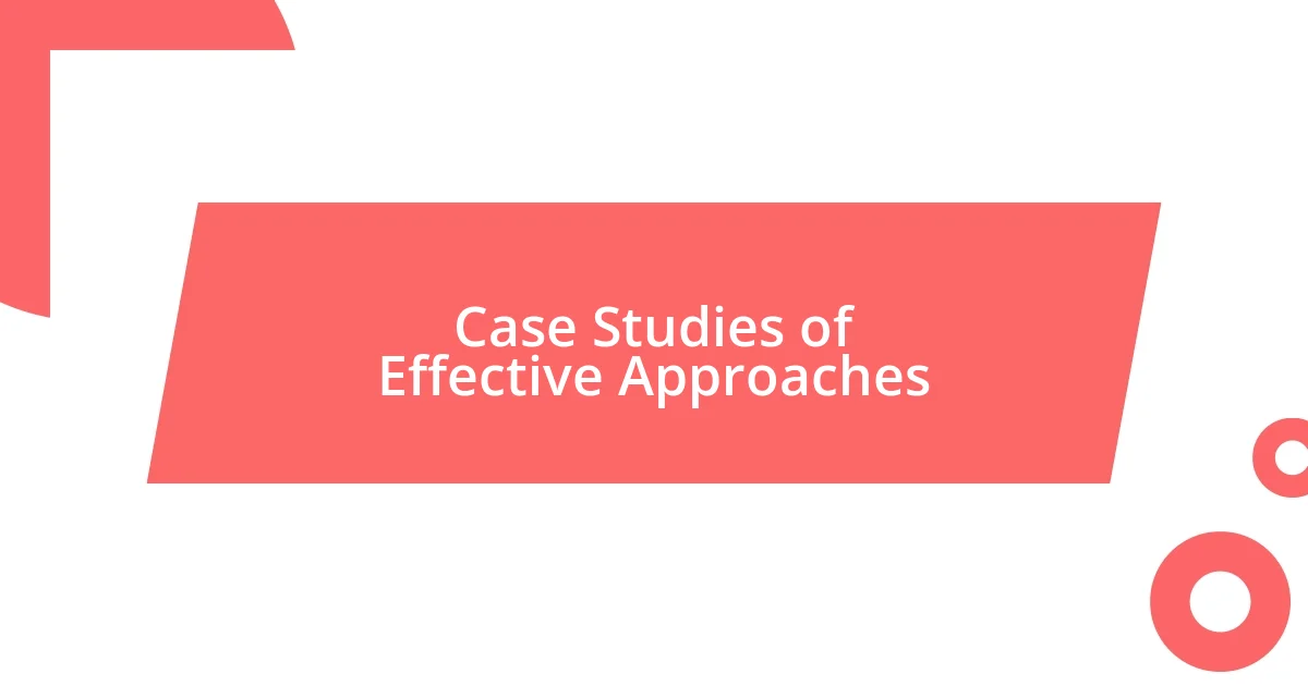 Case Studies of Effective Approaches